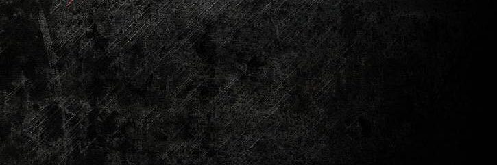 shibi1306's profile banner image