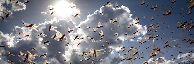 MarcelKossen's profile banner image