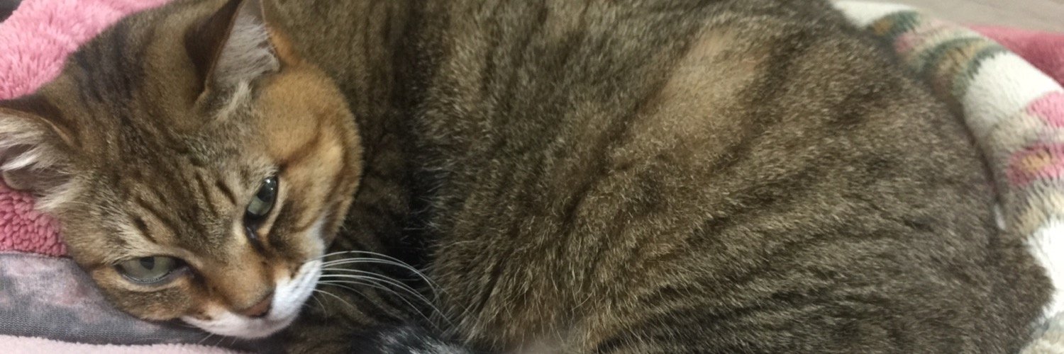izmister's profile banner image