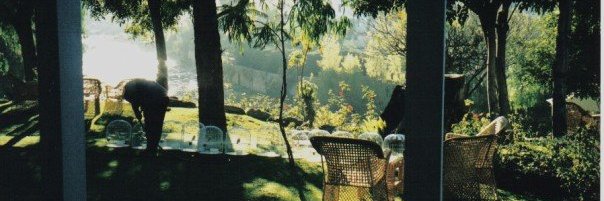 Stephen Mannello banner