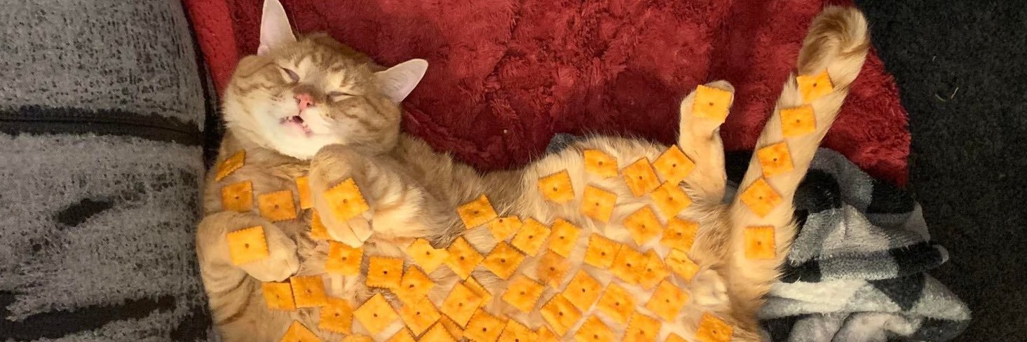 TigerTamer17's profile banner image