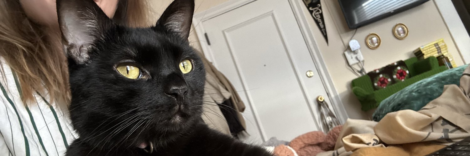 lilyhoak's profile banner image