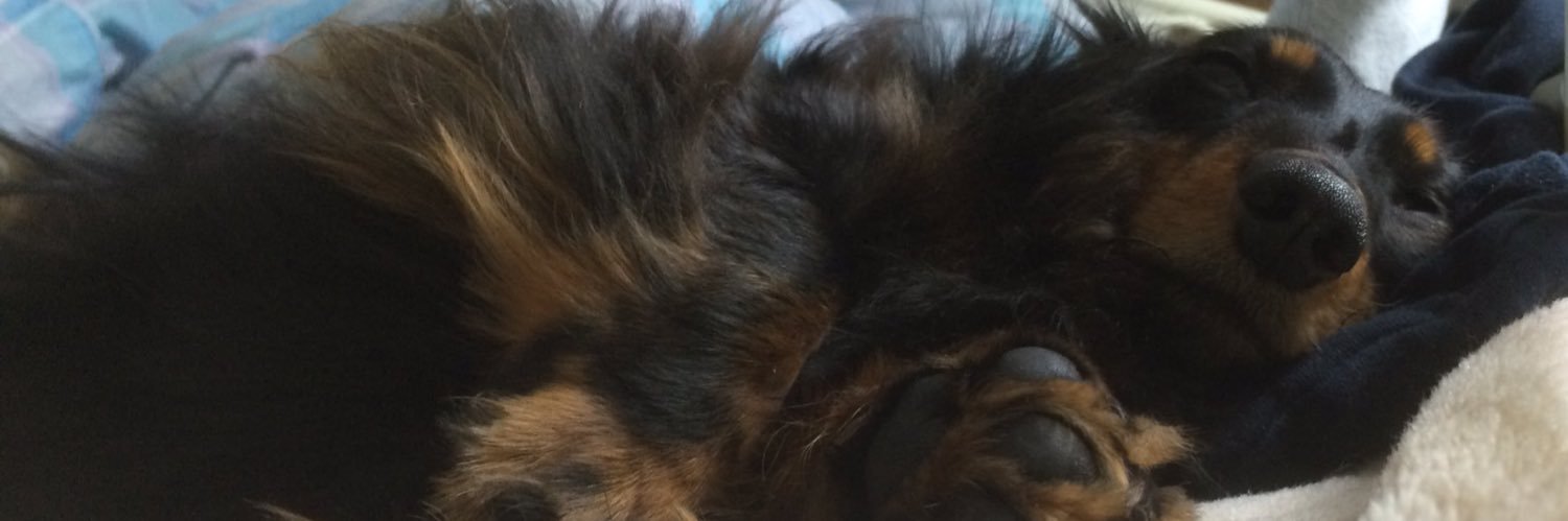 ぺーじゅんインダハウス3rd banner