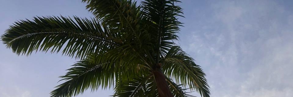 loresua's profile banner image