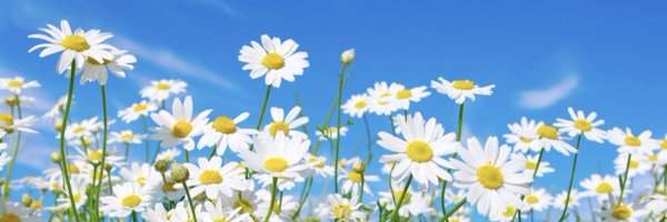 ReeceNickles Profile Banner