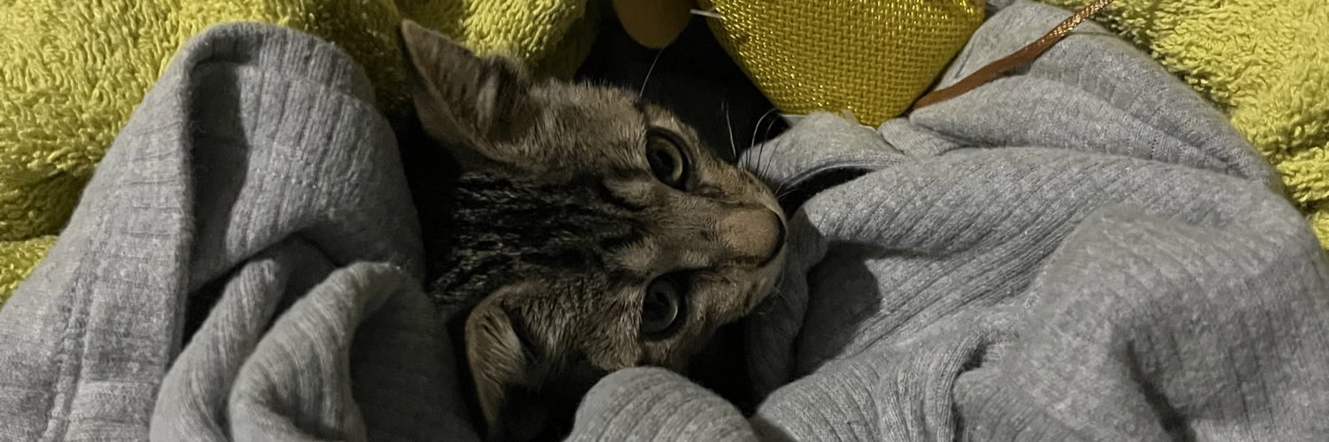 tracogo's profile banner image