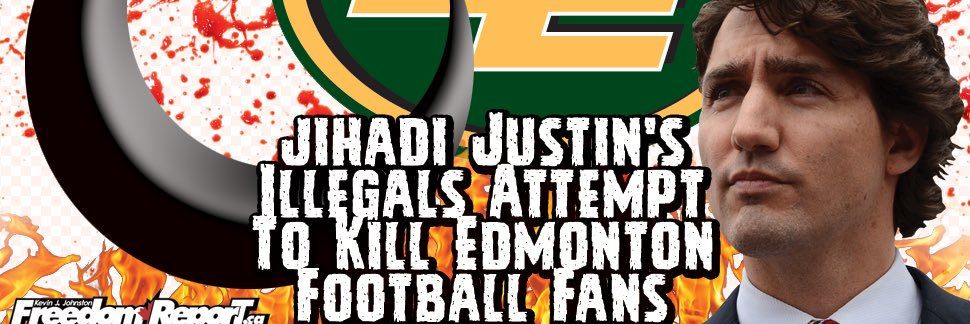 Section013's profile banner image