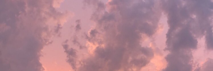 alexia banner