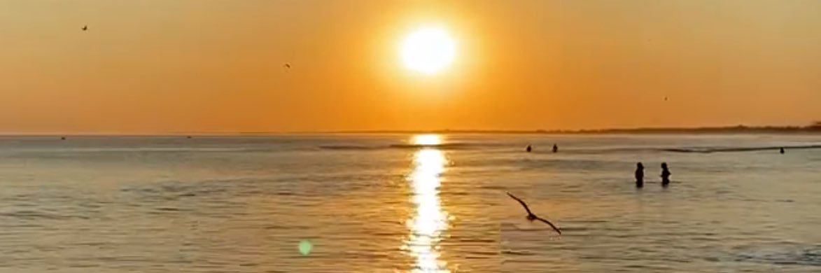 phangelo00's profile banner image