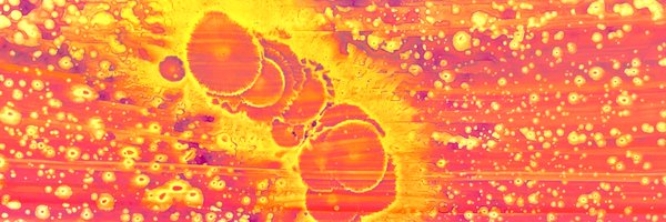 cryptofan250 Profile Banner