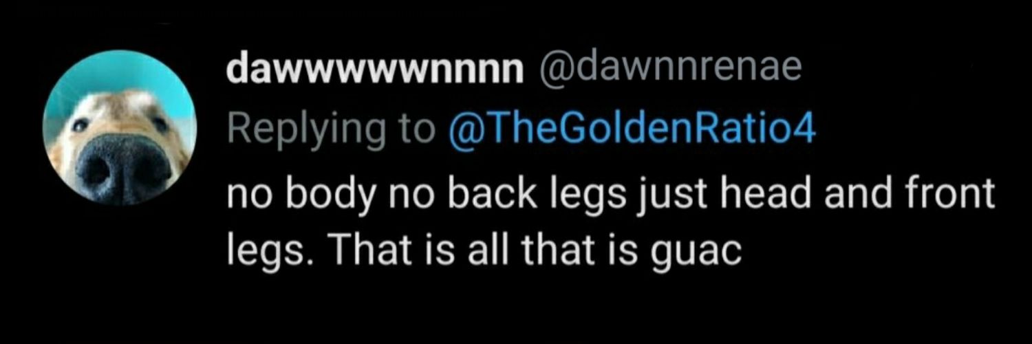 Guac With Two Legs banner