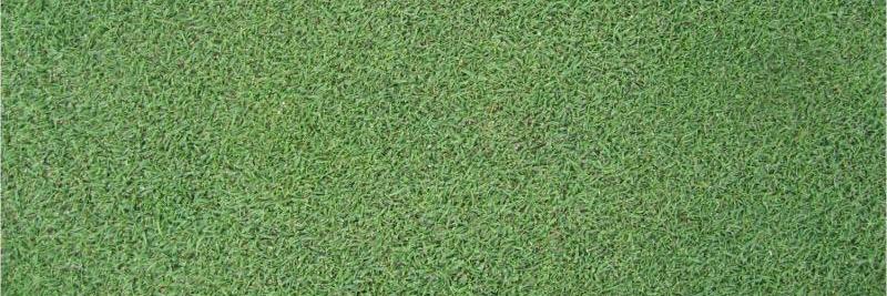 GCSA of New England banner