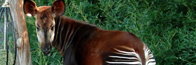 date3n10's profile banner image