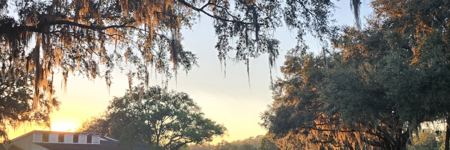 mggmt's profile banner image