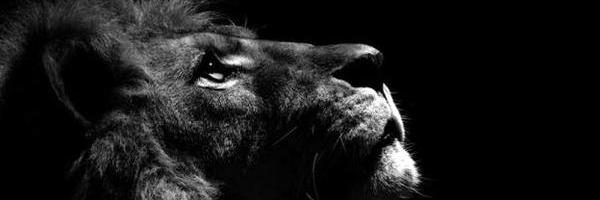 fotogto's profile banner image