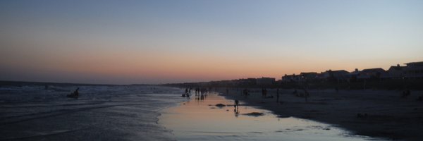 thedamnseasons Profile Banner