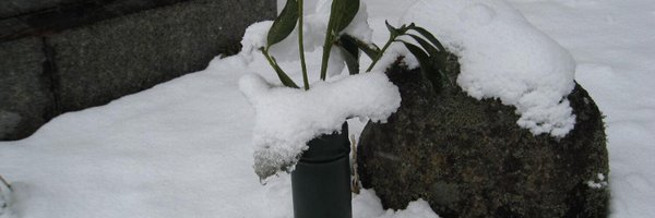 moritatsu Profile Banner