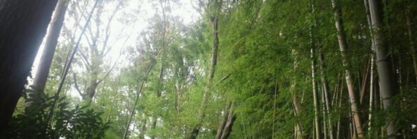 Ecchy_Endre's profile banner image
