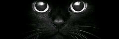 _biancaz's profile banner image