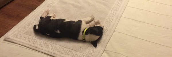 natadiaz87 Profile Banner