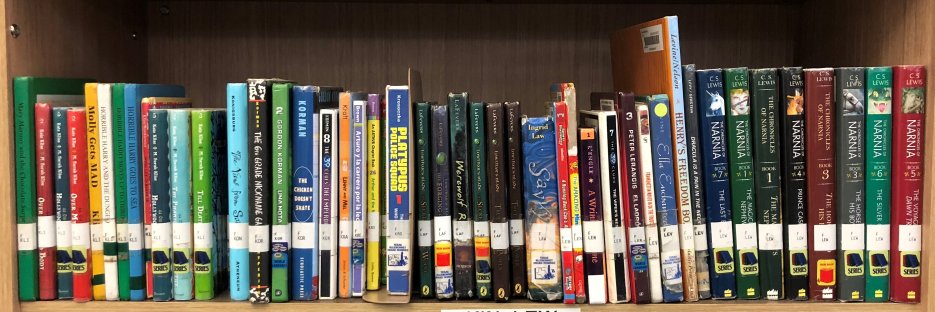Nitsch Library banner