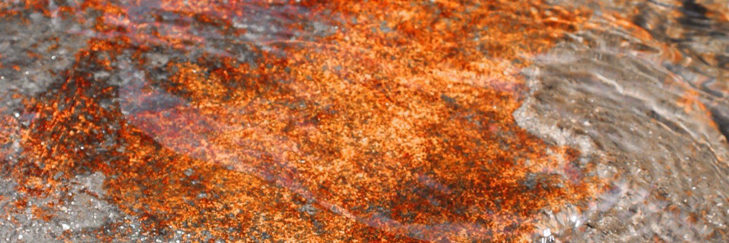Merynea's profile banner image
