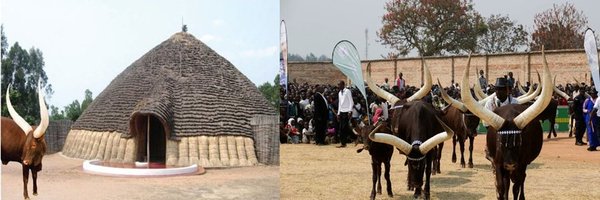 Gilmugabo Profile Banner