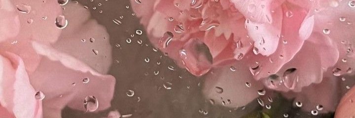 𝐊𝐚𝐭𝐚𝐥𝐲𝐧𝐚 𝐆. 𝐅𝐥𝐚𝐦𝐞𝐥 banner