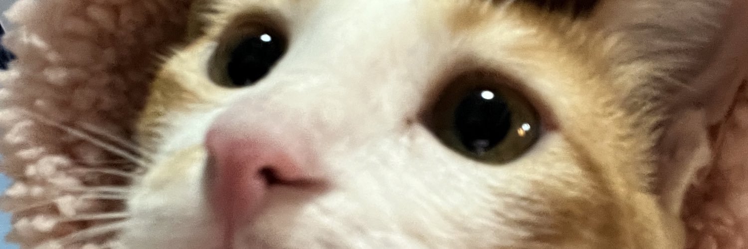 catogoddess's profile banner image