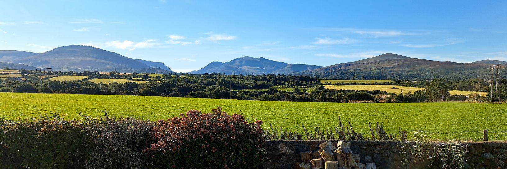 Emma Dimbleby banner