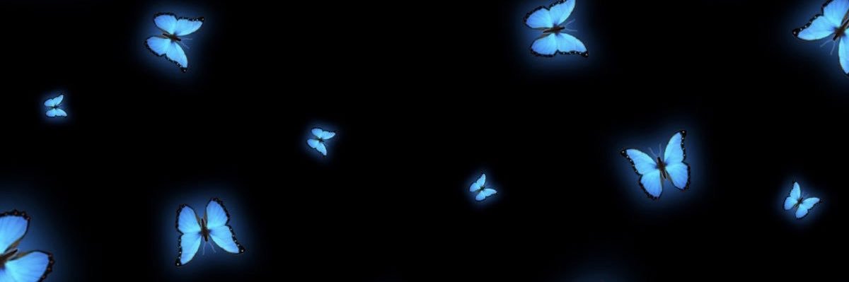 jenaashattil's profile banner image