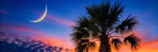 Michael Jeffcoat banner