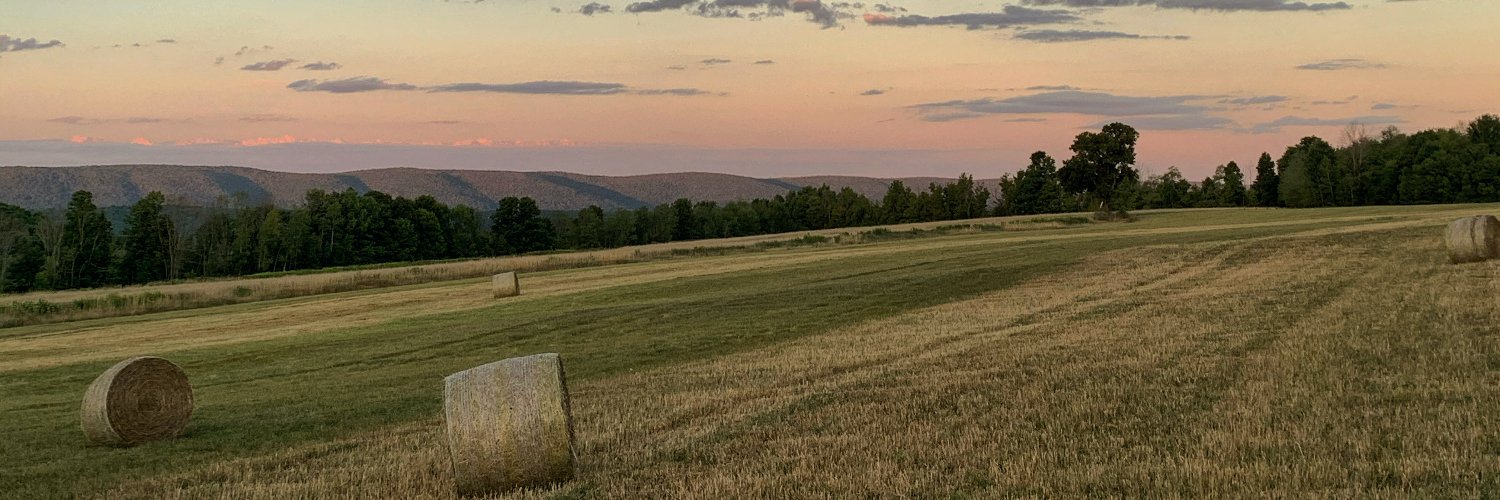 chrisdavisedu's profile banner image