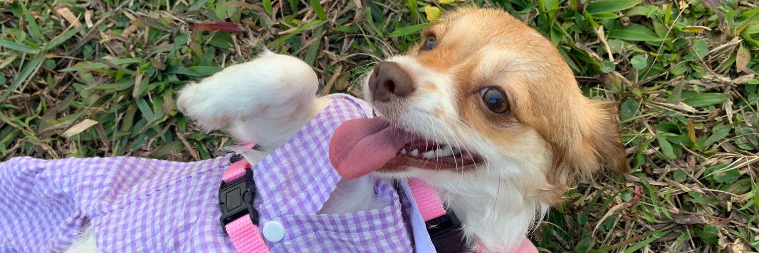 ohmilette's profile banner image