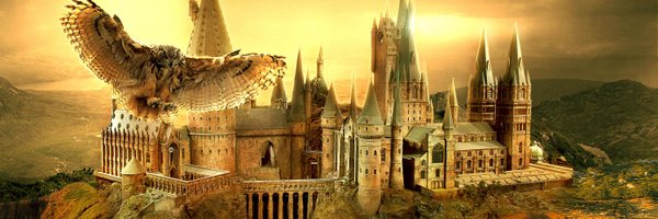OwlsfromPolk Profile Banner