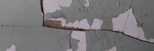 charli_xcx Profile Banner