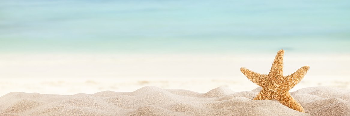 Claudia Calderón banner