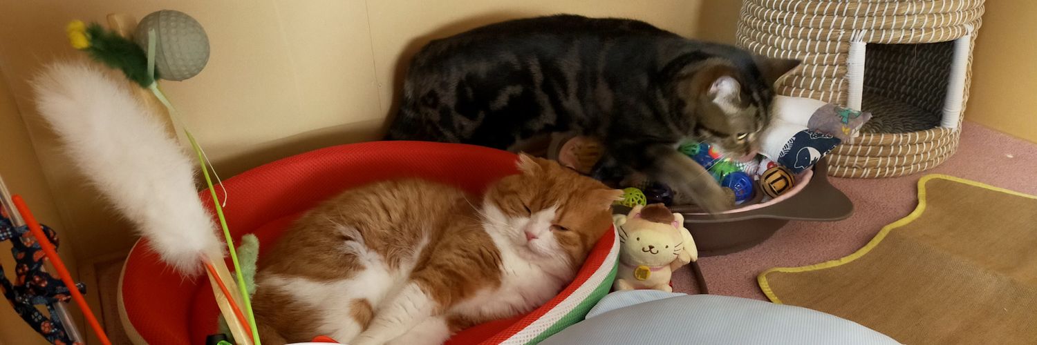 さくら(✿´ ꒳ ` )とたろうฅ^•ω•^ฅ banner