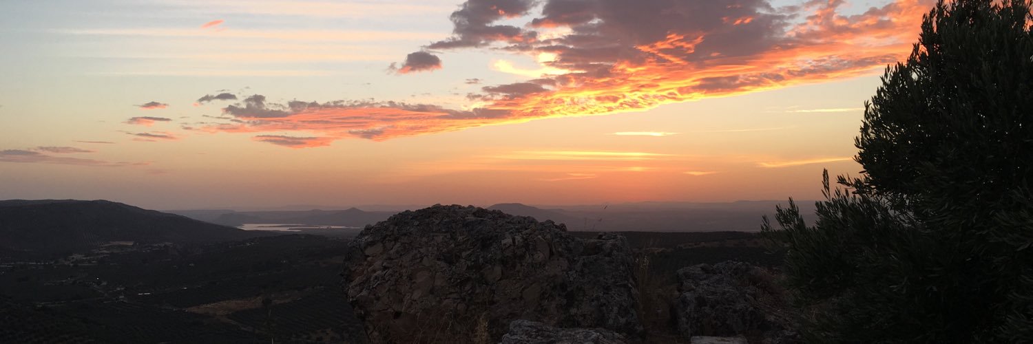 ronce55's profile banner image