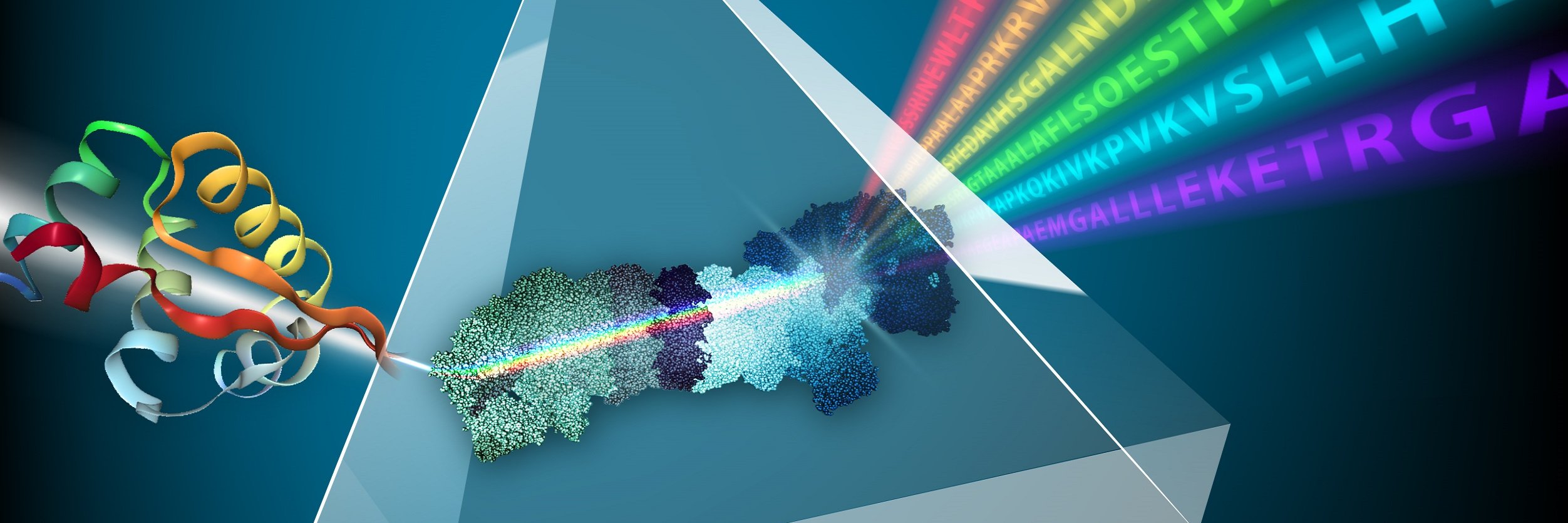 Yifat Merbl lab's banner
