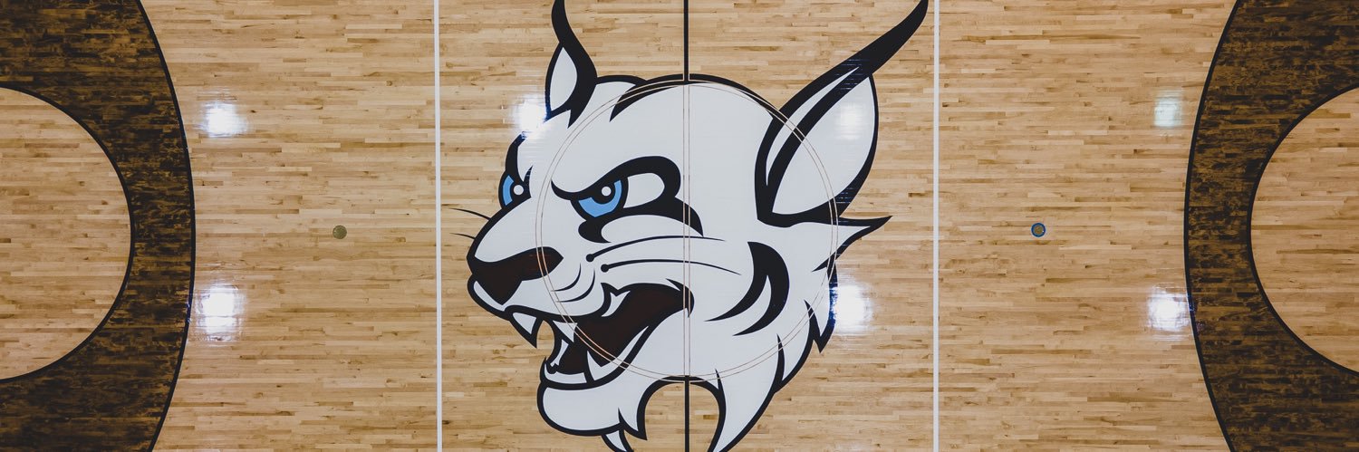 STU Men’s Basketball's banner