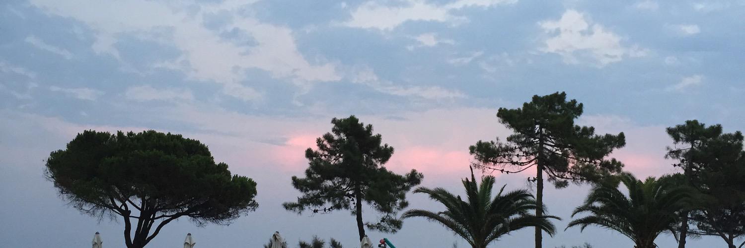 breniceday's profile banner image
