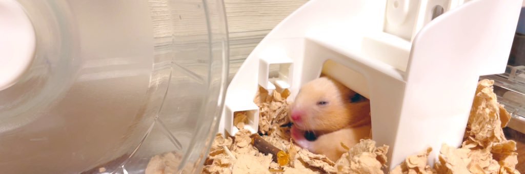 tiamonator_'s profile banner image