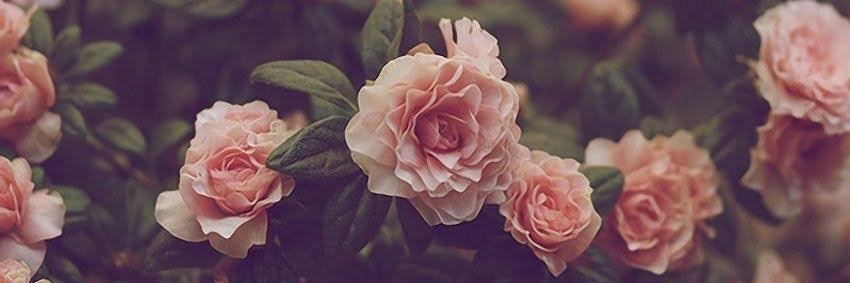 Ujjvalsahu's profile banner image