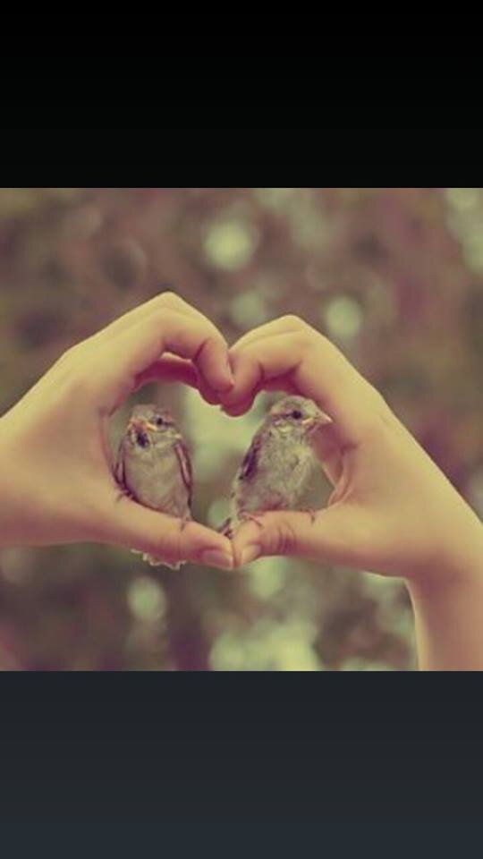 ام يزن آل مضواح banner