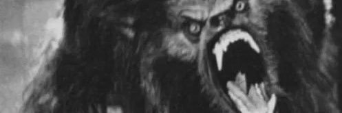 andrewllyons's profile banner image