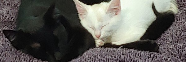 AmandaLeo_wx Profile Banner