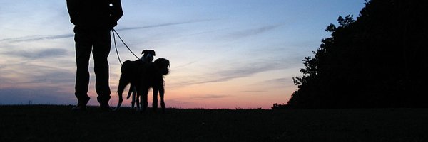 SteveCaple4 Profile Banner
