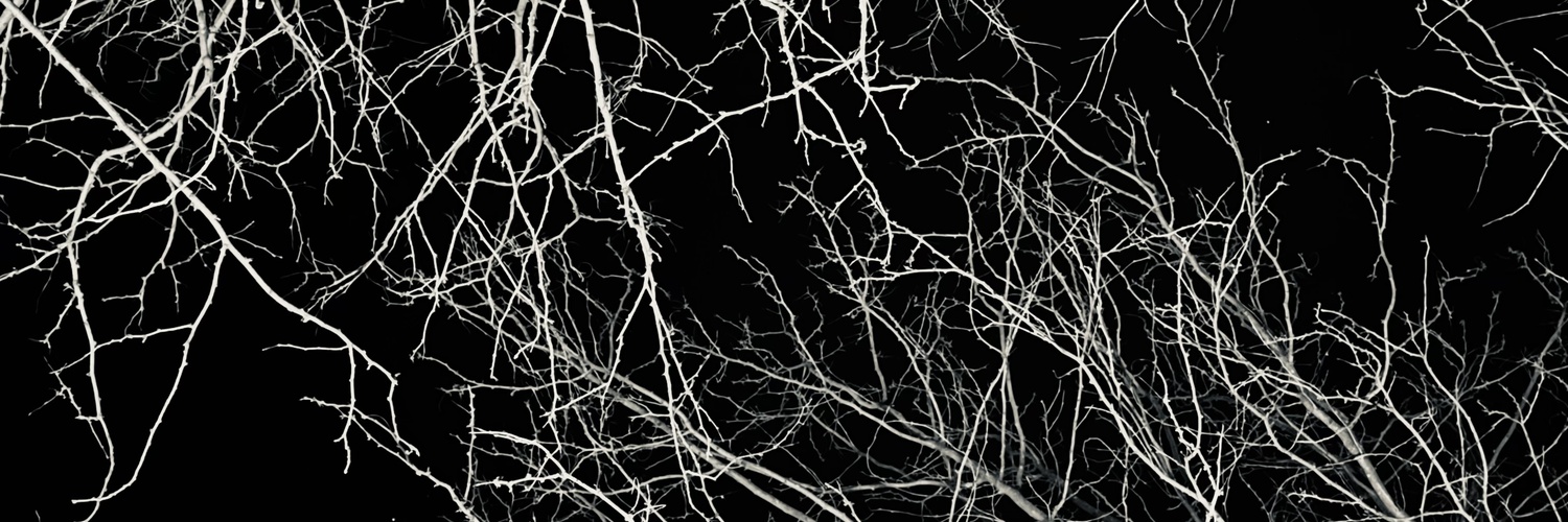 PureBrettX's profile banner image