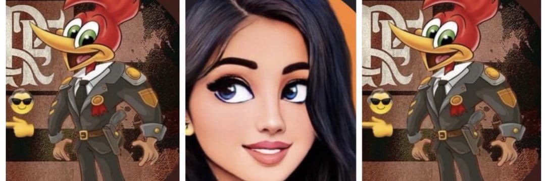 🇧🇷Victoria22 #NaoExisteDireitaSemBolsonaro's banner